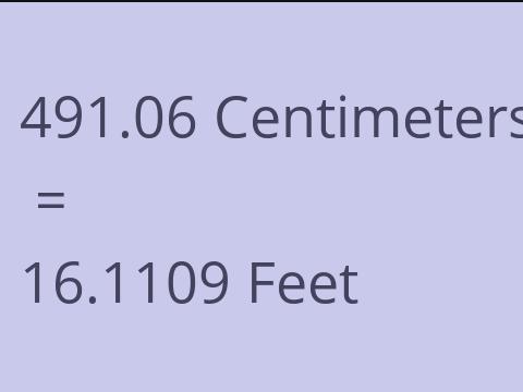 491.06 CM TO FEET