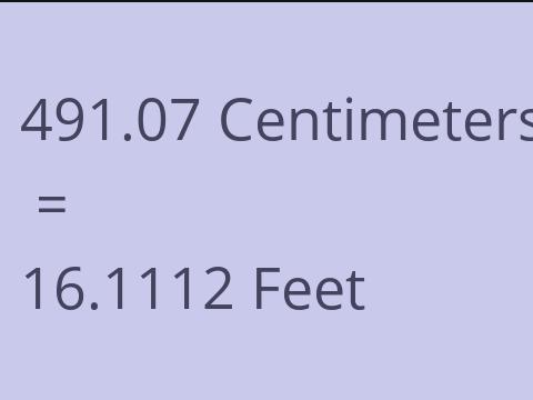 491.07 CM TO FEET