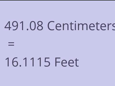 491.08 CM TO FEET