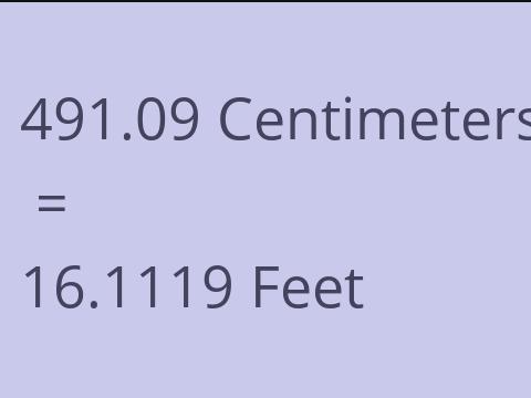 491.09 CM TO FEET