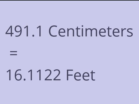 491.1 CM TO FEET