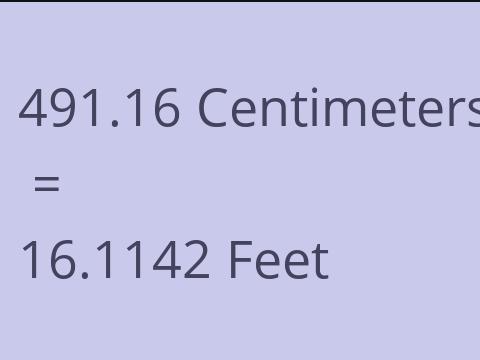 491.16 CM TO FEET