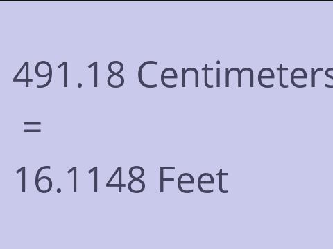 491.18 CM TO FEET