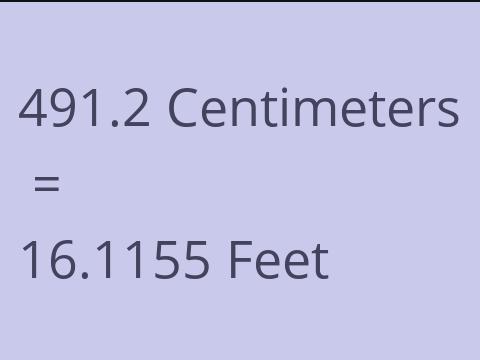 491.2 CM TO FEET