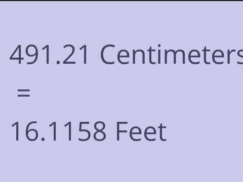 491.21 CM TO FEET