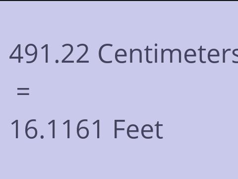 491.22 CM TO FEET