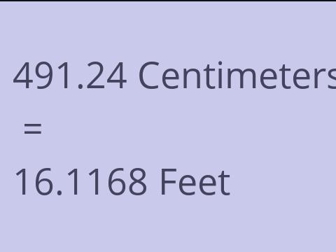 491.24 CM TO FEET