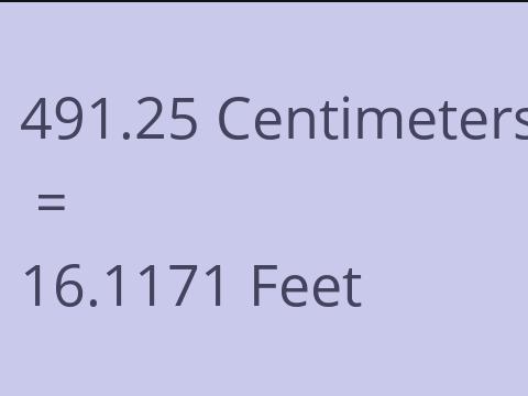 491.25 CM TO FEET