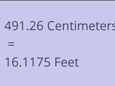 491.26 CM TO FEET