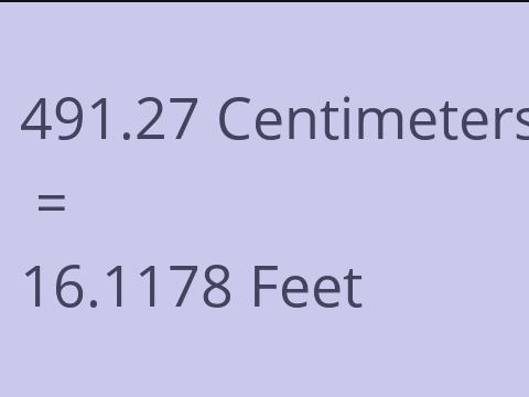 491.27 CM TO FEET