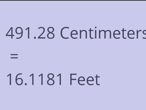 491.28 CM TO FEET