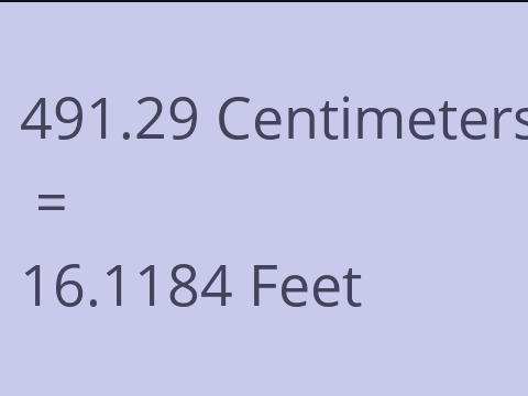 491.29 CM TO FEET