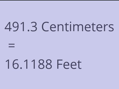 491.3 CM TO FEET