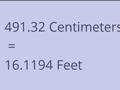 491.32 CM TO FEET