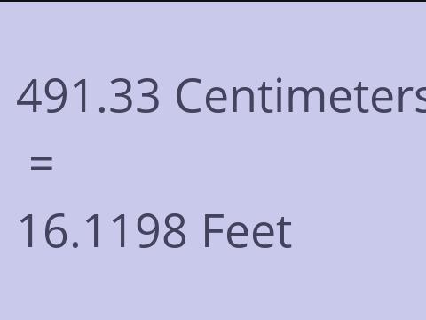 491.33 CM TO FEET