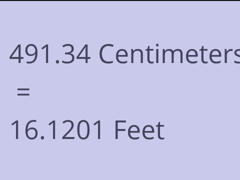 491.34 CM TO FEET