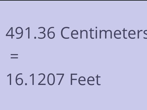 491.36 CM TO FEET