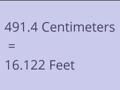 491.4 CM TO FEET