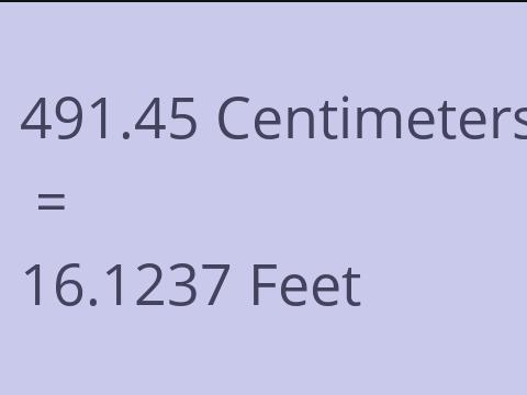 491.45 CM TO FEET