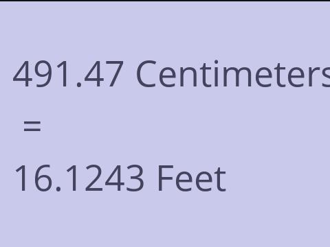 491.47 CM TO FEET