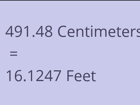 491.48 CM TO FEET