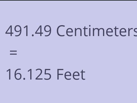 491.49 CM TO FEET