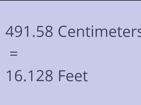 491.58 CM TO FEET