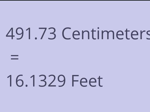 491.73 CM TO FEET