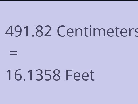 491.82 CM TO FEET