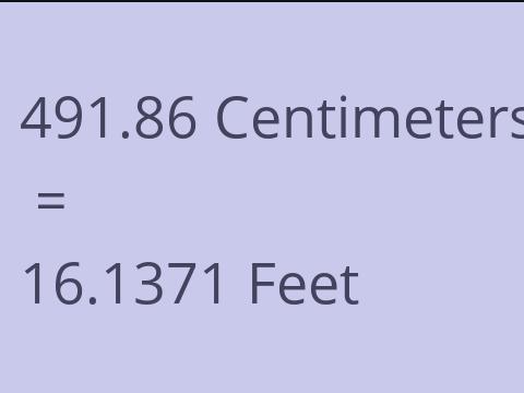 491.86 CM TO FEET