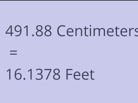 491.88 CM TO FEET