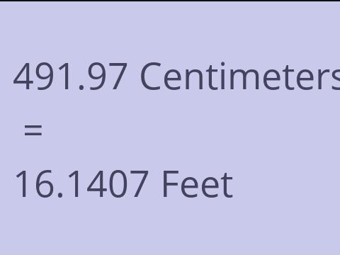 491.97 CM TO FEET