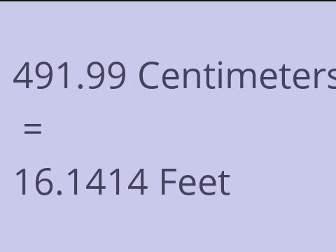 491.99 CM TO FEET