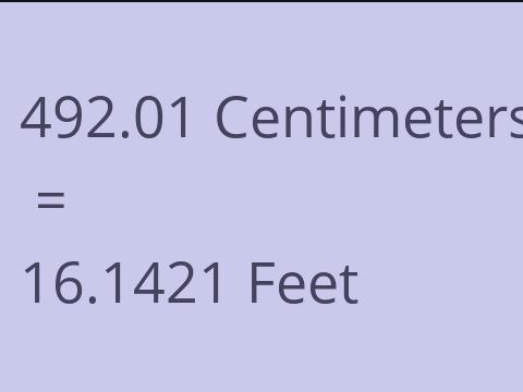 492.01 CM TO FEET