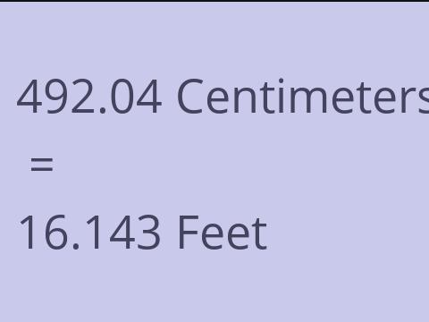 492.04 CM TO FEET