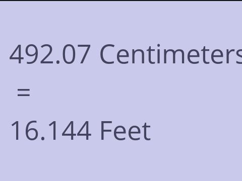 492.07 CM TO FEET