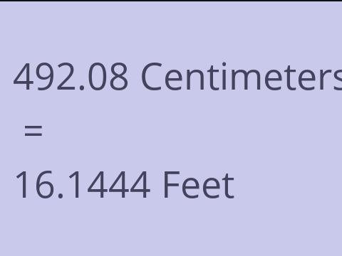 492.08 CM TO FEET