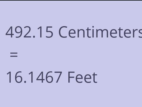 492.15 CM TO FEET