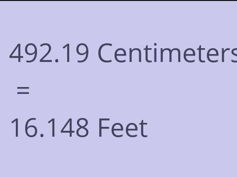 492.19 CM TO FEET