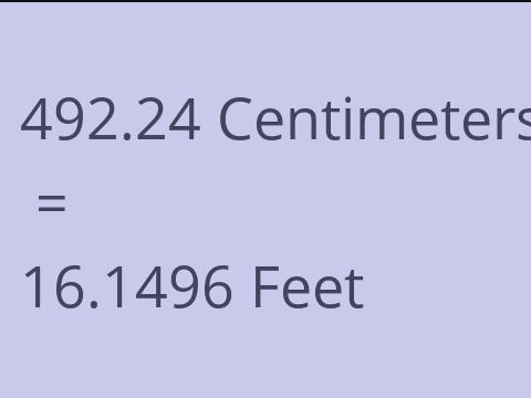 492.24 CM TO FEET