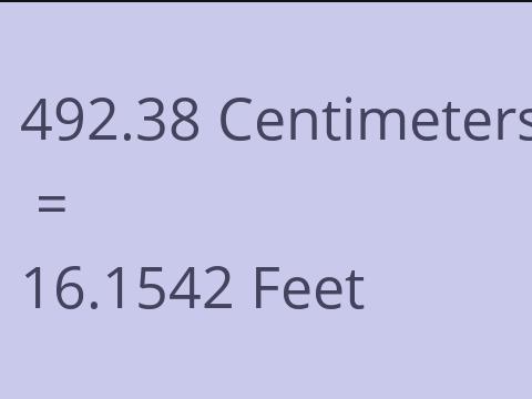 492.38 CM TO FEET