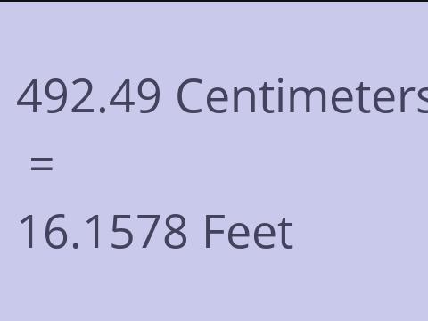 492.49 CM TO FEET