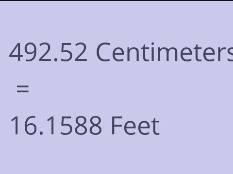 492.52 CM TO FEET