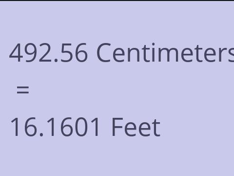 492.56 CM TO FEET