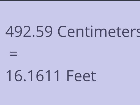 492.59 CM TO FEET