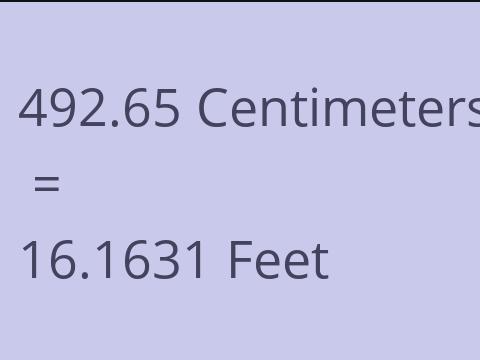 492.65 CM TO FEET