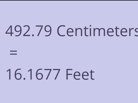 492.79 CM TO FEET