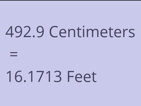 492.9 CM TO FEET