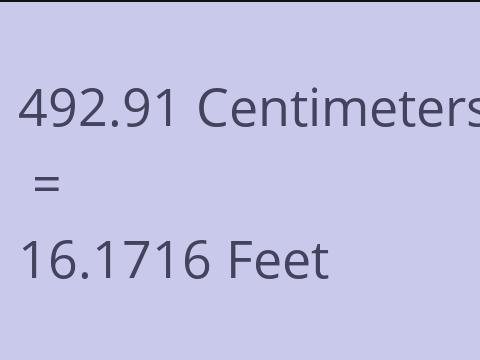 492.91 CM TO FEET