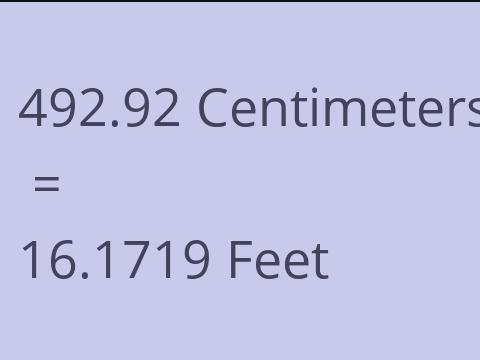 492.92 CM TO FEET